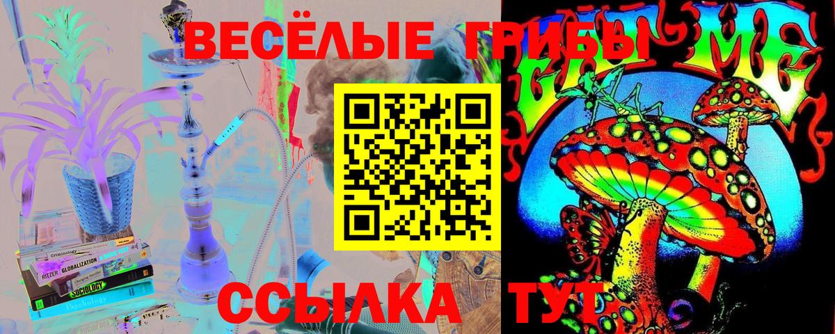Галлюциногенные грибы GOLDEN TEACHER Алексеевка